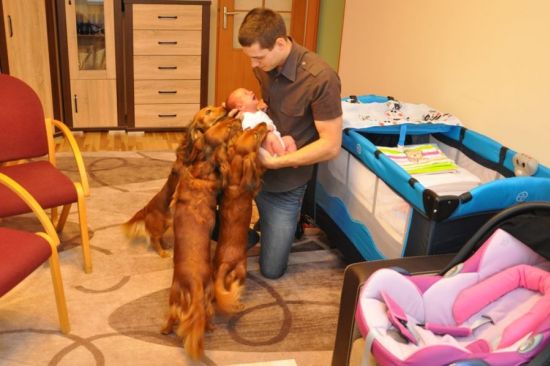 Pierwsza podr� Hani do Rodzinnego domu.